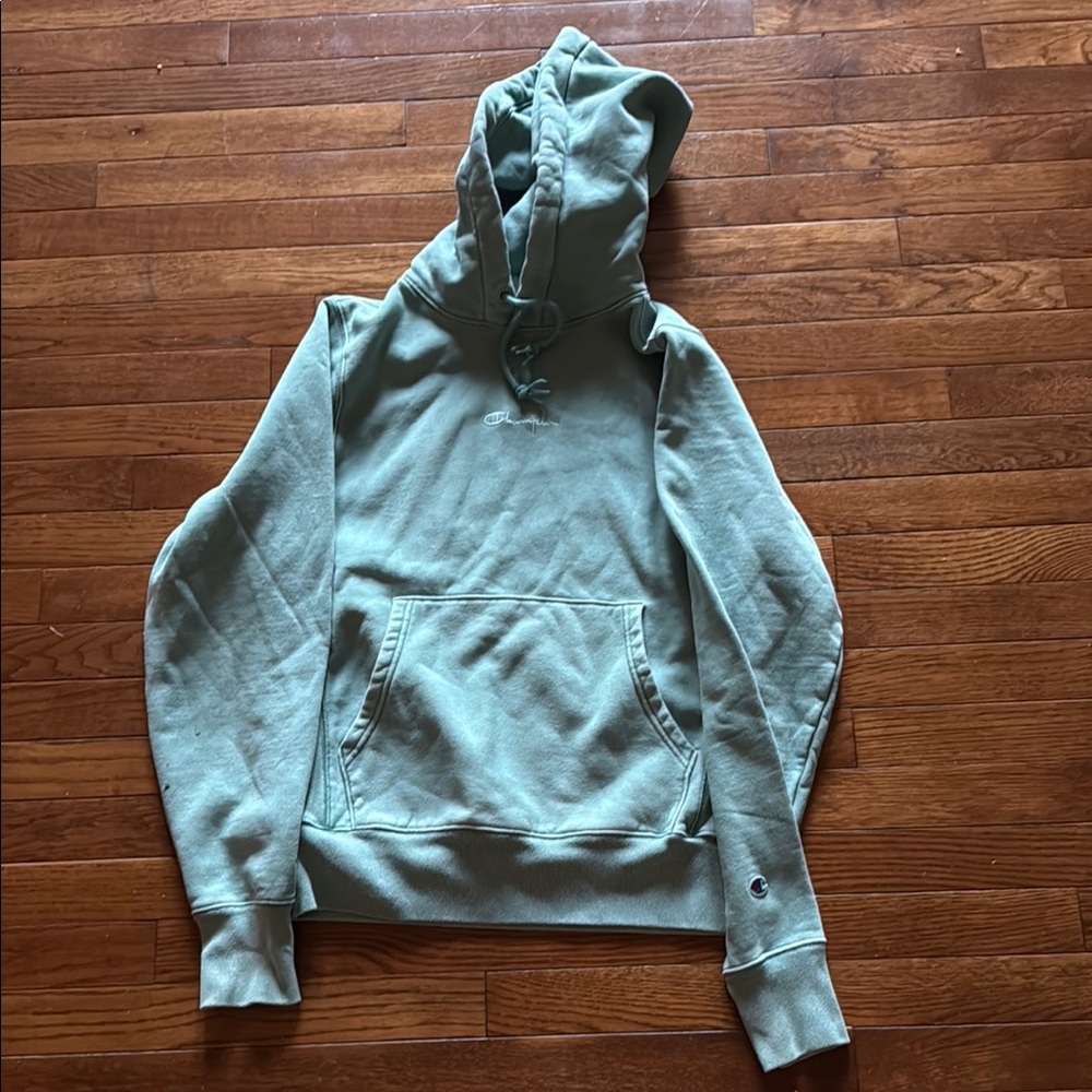 Champion Men's Mint Hoodie